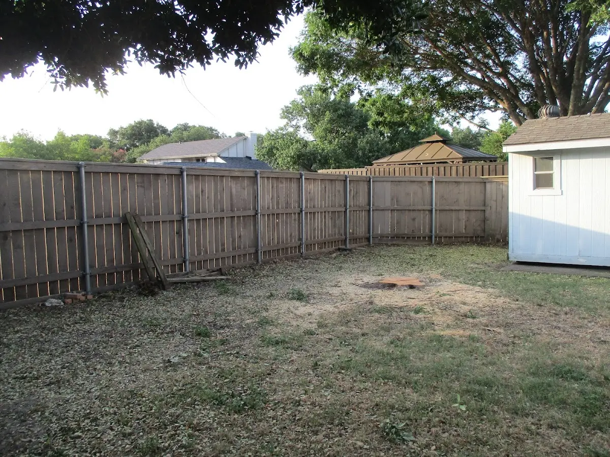 Cleared yard after professional tree removal in Revere
